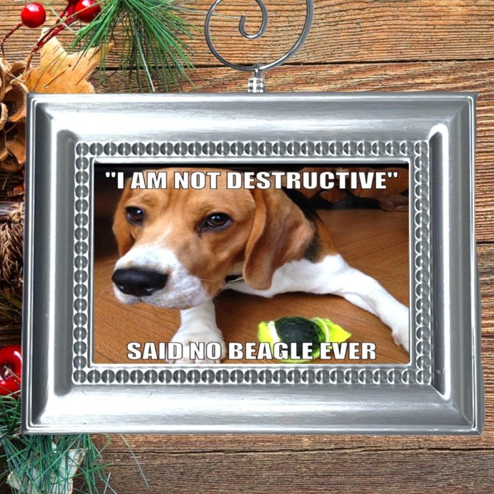 Beagle Puppy‎ Dog Funny Christmas Tree Ornament